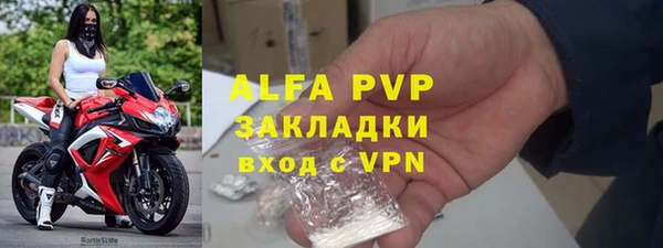 дживик Горняк