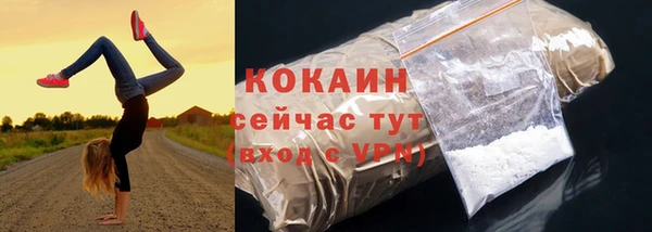 дживик Горняк