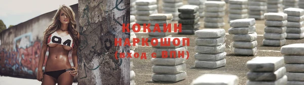 дживик Горняк