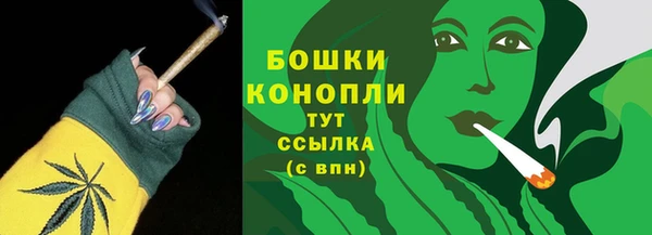 дживик Горняк