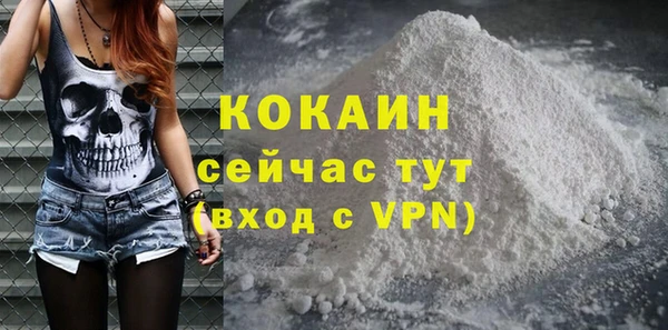 дживик Горняк