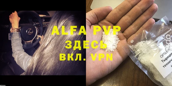 дживик Горняк