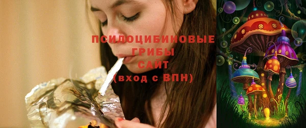 дживик Горняк