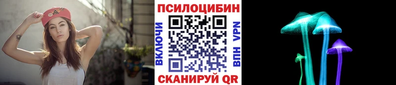 как найти   Щёлково  Галлюциногенные грибы Cubensis 